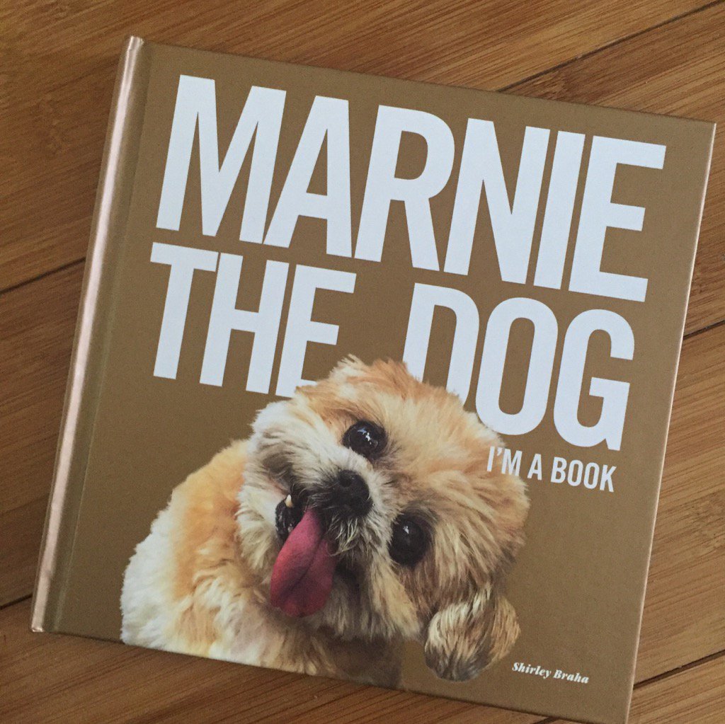prounderdog's tweet photo. Happy 2 have met @MarnieTheDog @BabysAllRight 4 smiles get book #adoptseniorpets &amp; help dogs https://t.co/a7ZkNljoP5 https://t.co/Q0sjE0fh3n