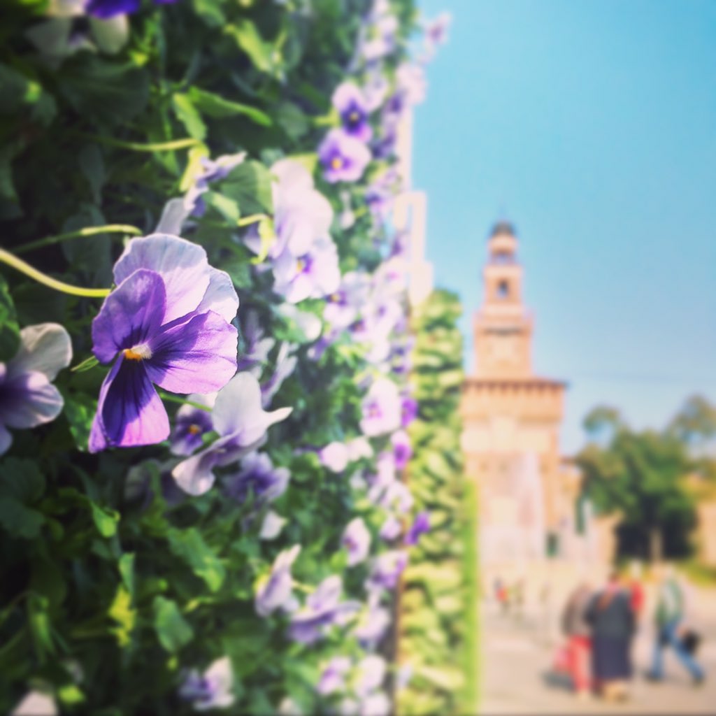 Expo Gate tweet media