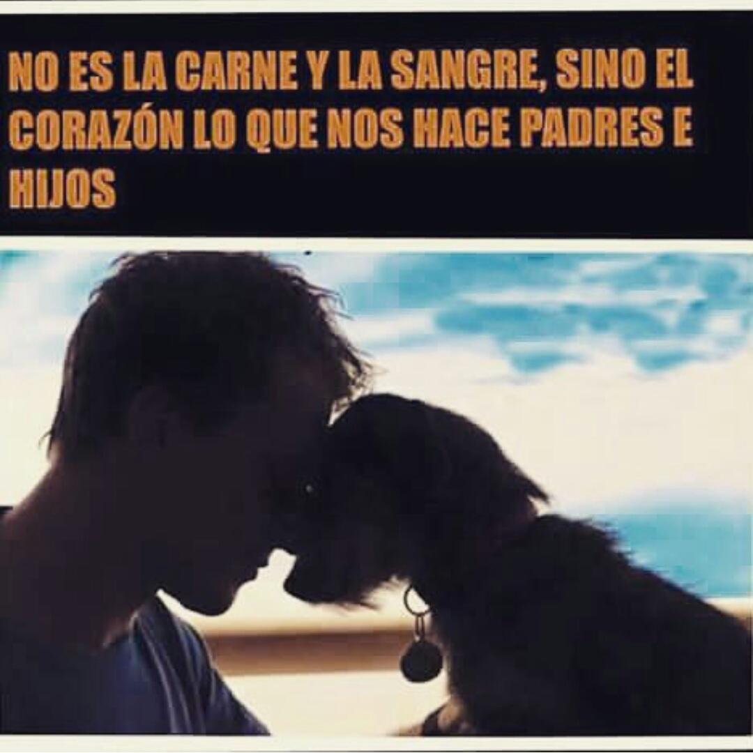 Ruth_R2M's tweet photo. 😍🐶🐺 https://t.co/TNxwkshLuT