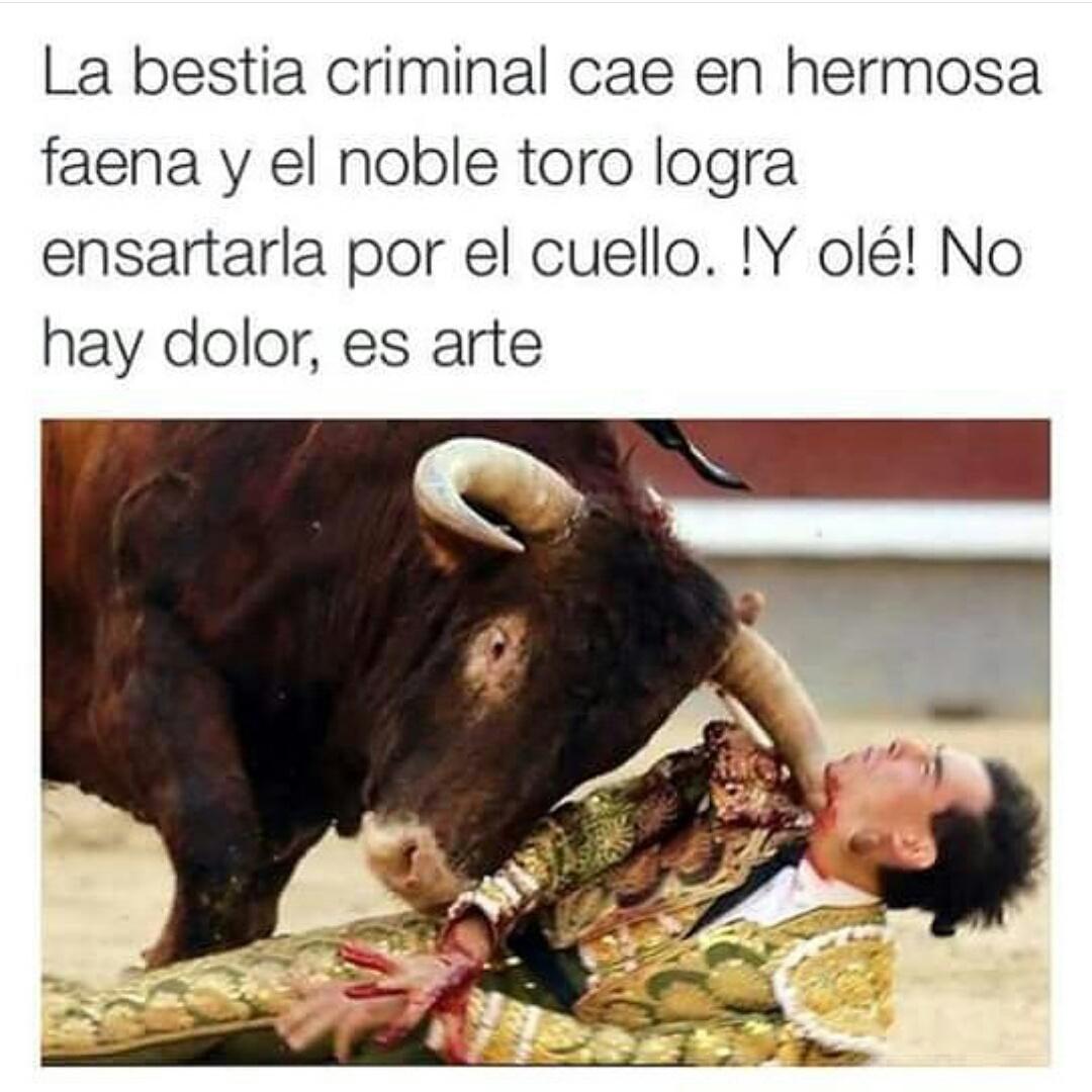 Ruth_R2M's tweet photo. Y ¡Oleeeee!! 😯😂💪🐂👏👏👏👏 https://t.co/jsw1ck9s7D