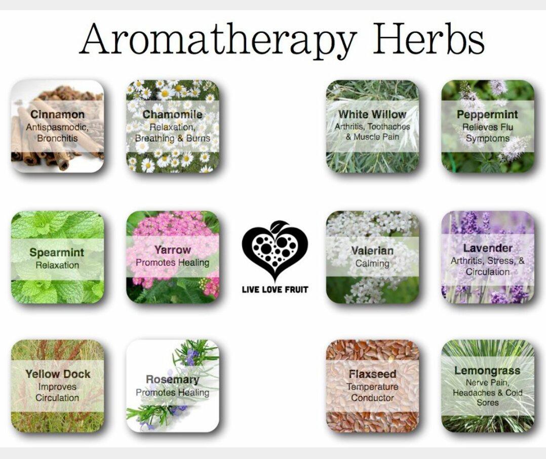 lavenholistics's tweet photo. Visit me for bespoke aromatherapy blends to suit your needs @Devon_Hour @Torbay_Hour @smart_bn @AnniefanElliott https://t.co/Ta3WvYqHwi
