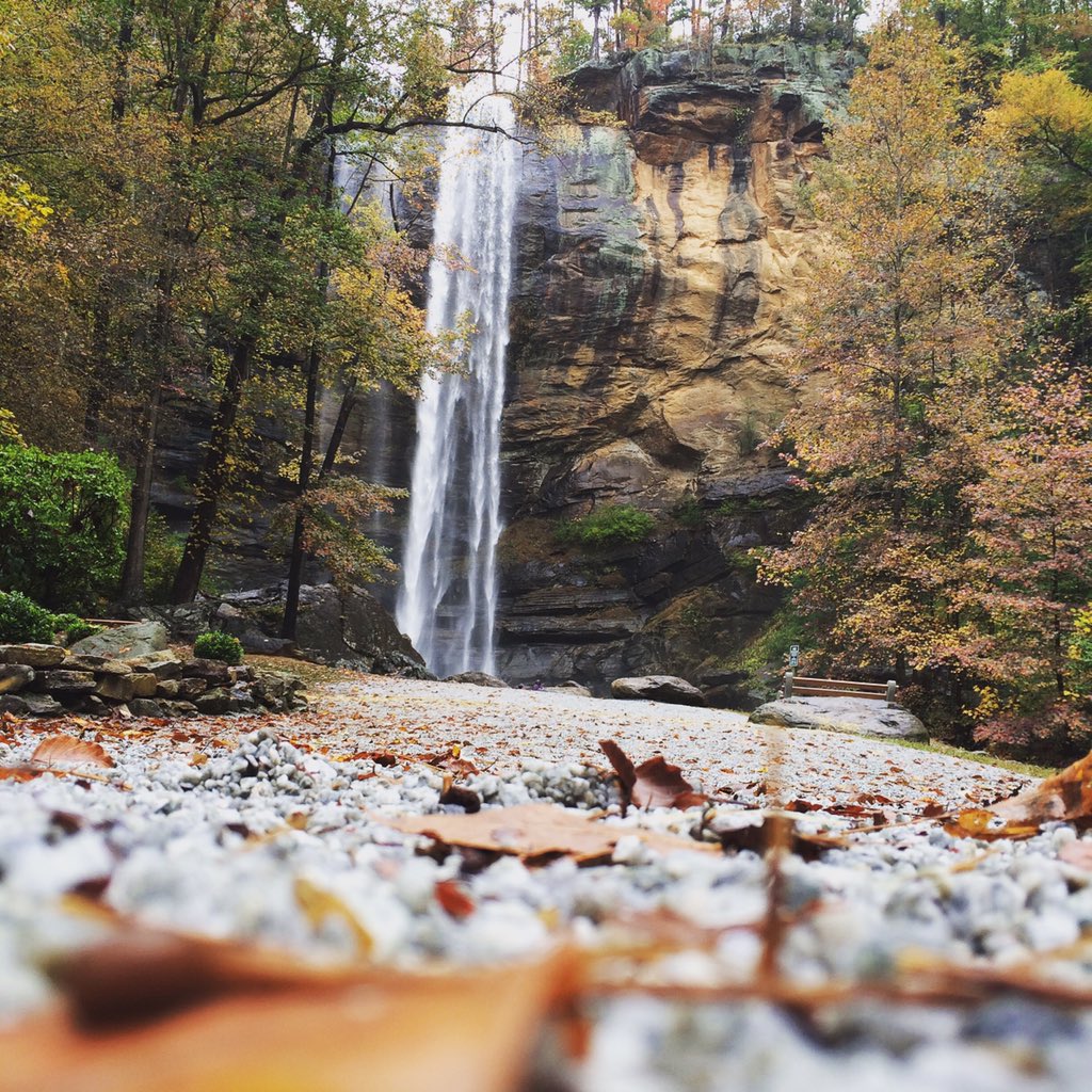 ToccoaFalls's tweet photo. The Falls during fall are a sight to see! Come visit us today and fall in love with fall. #exploreTFC #tfcexplorer https://t.co/T4A1u92y30
