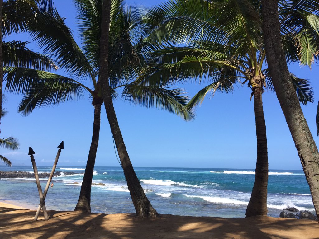 Travelswithmelb's tweet photo. One of my favorite views on earth! #maui #travel #mamasfishhouse https://t.co/T9eCewGzLB