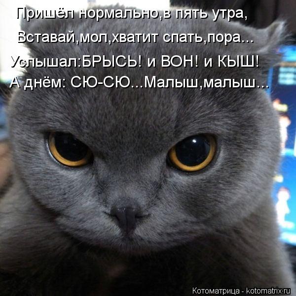 Открытка с вопросом спишь, юбилею