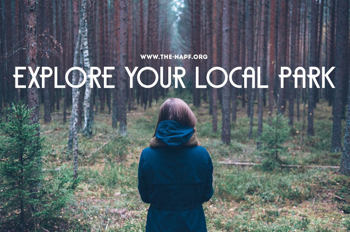 the_napf's tweet photo. You might be surprised to see what you find in your very own local park. #ExploreYourLocalPark https://t.co/DTEn3pFDLy