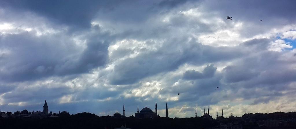 SeçimTuruTRT1 tweet media
