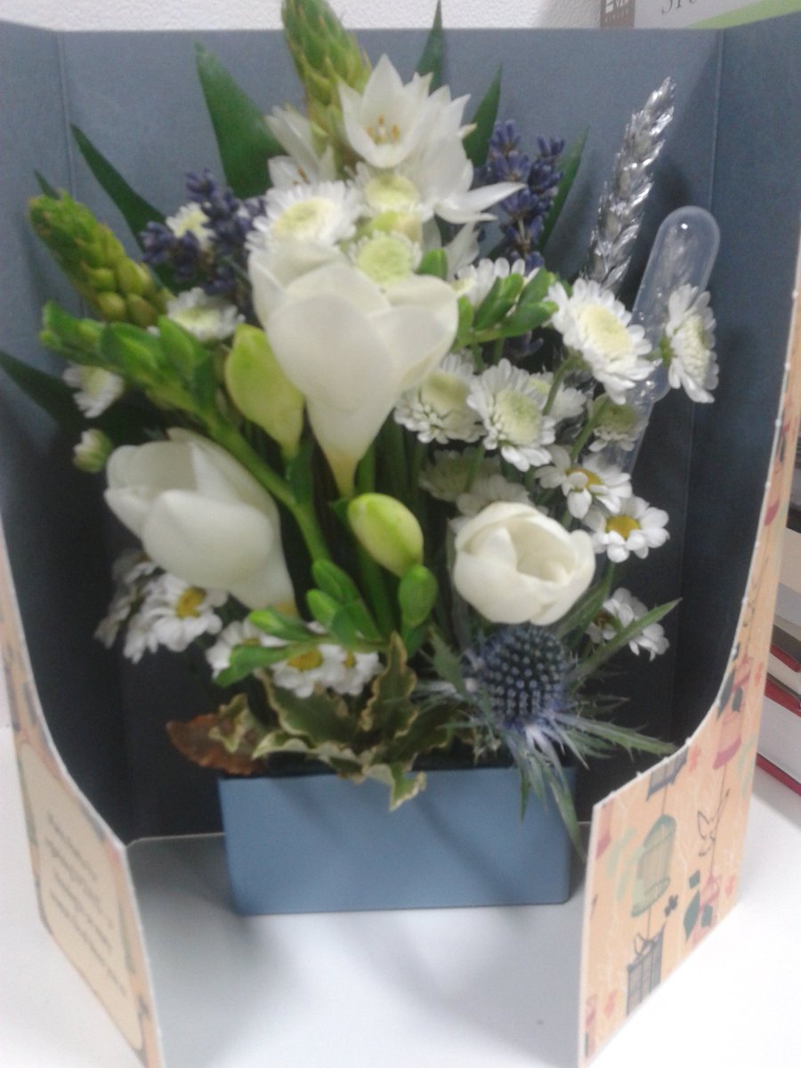 WomaninLondon's tweet photo. Thank you to the mystery person who sent these cute flowers as thanks for the Woman to Woman conference. #W2W15 https://t.co/RK5SN5AxYD