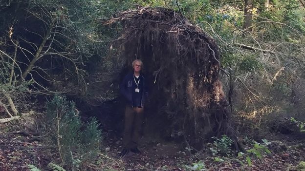 BBCSouthNews's tweet photo. Experts find '6,000 year old eco-home' near Stonehenge https://t.co/I9OPZFqWon https://t.co/uGVrEMKO19