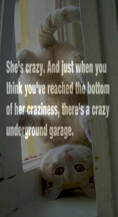 Mother_Mela's tweet photo. #BeingMe #TheyCallMeMudder #MyReality #DefientBroad #OlderBitchesRule #crazygirlsbelike #DontPissMeOff https://t.co/tYeWt7ugTj