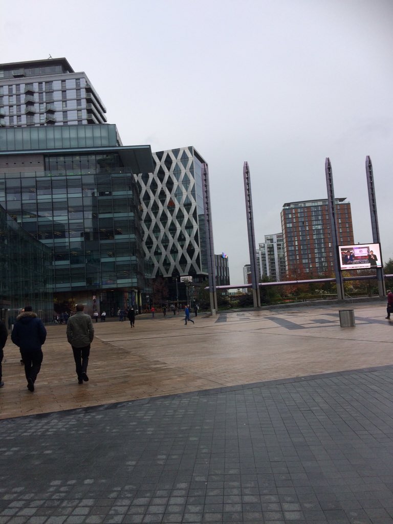 HeatherWSpeaker's tweet photo. Working near Media city today - #bearlyfamous https://t.co/07CEtDOvZx