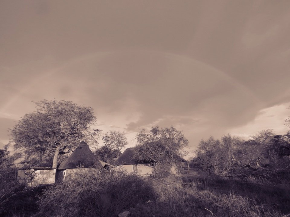 ReMarcable5's tweet image. Mopane Grove, circa 2015.