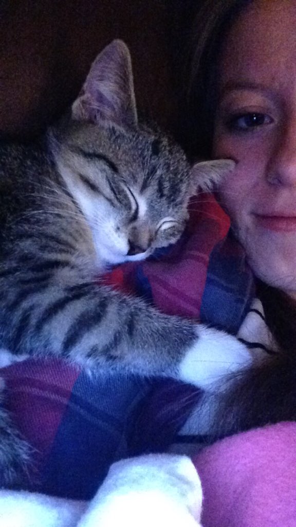 ErrinnMariee's tweet photo. happy national cat day to my bby larry😻 https://t.co/4xegYX9kDp