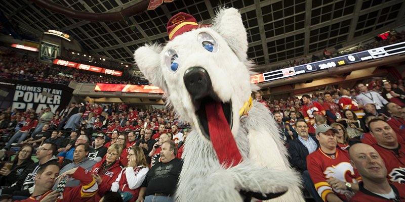 NHLFlames's tweet photo. We don't support #NationalCatDay. https://t.co/CwTwmjlKl1