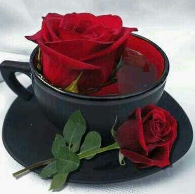 raedswiss (@raedwaw) on Twitter photo 