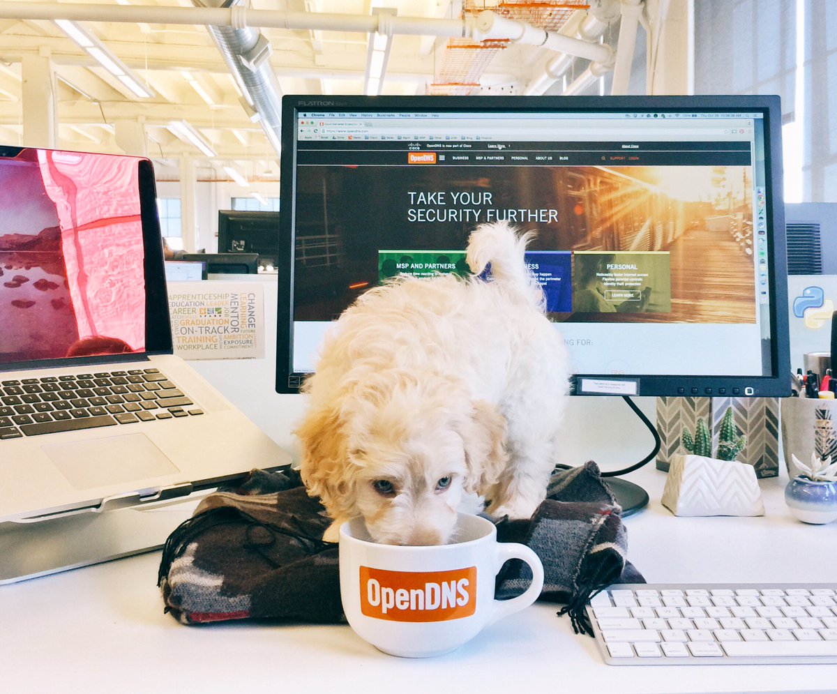 tangysteph's tweet photo. #OpenDNS MSP Team can't wait for #ITN15! Thankfully Bowie agreed to stay behind &amp; man the phones #coffeeisforclosers https://t.co/i1ia966OZE