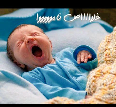 نونة (@hiba12321) on Twitter photo 