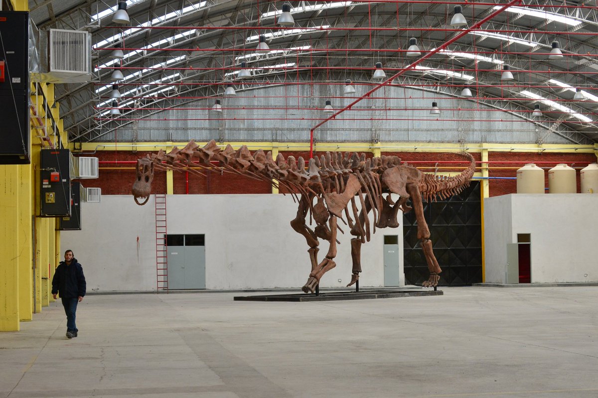 BBCNOW's tweet photo. Instruments ✔
Orchestra ✔ 
Dinosaur in the venue...erm...✔
Time to rehearse for our #patagonia150 gala concerts 🎶 https://t.co/heCxvVrrAK