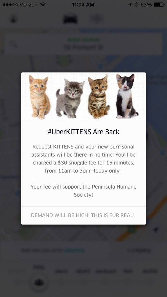 AlohaAJB's tweet photo. C'mon @Uber! We're ready for #kittenforce to arrive. @salesforce #dreamjob #comehererightmeow https://t.co/xLGS2Q6NA2
