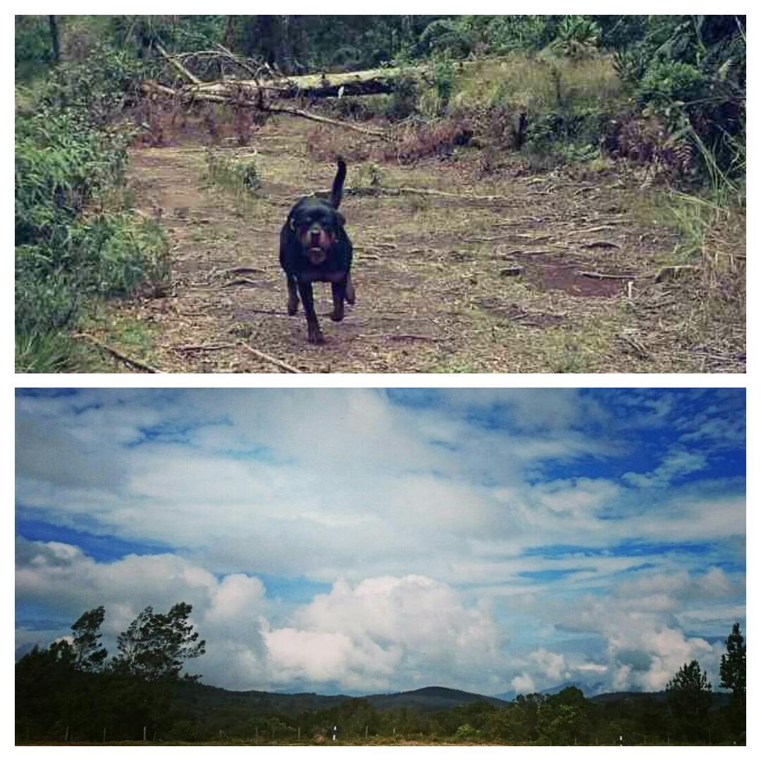 Preparación física!