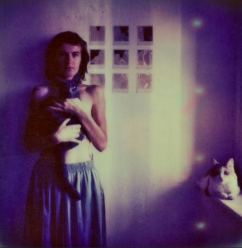 ImpossibleKitty's tweet photo. #NationalCatDay in an instant: https://t.co/Ko9PkUS13B by Dimitra Borisovich https://t.co/jr7dkjGhtS