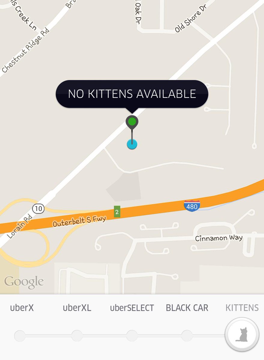 MissAngi33's tweet photo. @Uber @ClevelandAPL Where are all the kittens at?  We want to play!!!! #UberKITTENS #meow https://t.co/ZEAr7t5vsO