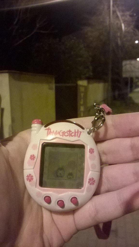 [Obrazek: CSgQQQoVEAAUvx_.jpg]