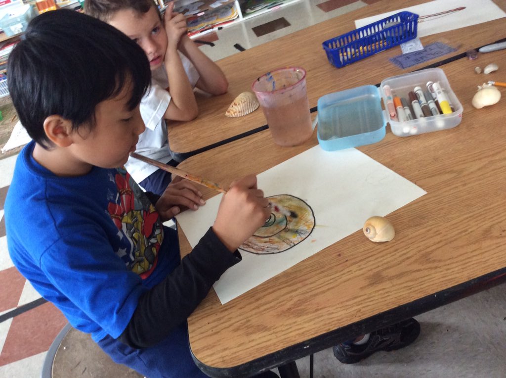 iaaartstudio's tweet photo. drawings from observation: 2nd grade sea shells in progress! #iaavt #bsdpd https://t.co/ob4dtJgs4p
