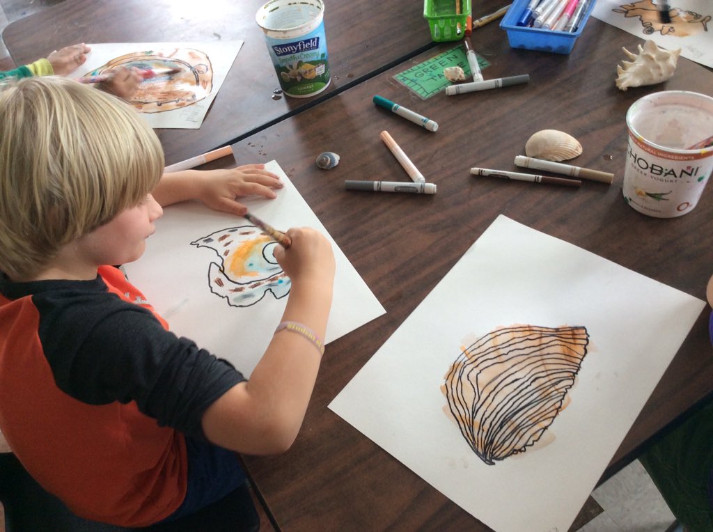 iaaartstudio's tweet photo. drawings from observation: 2nd grade sea shells in progress! #iaavt #bsdpd https://t.co/ob4dtJgs4p