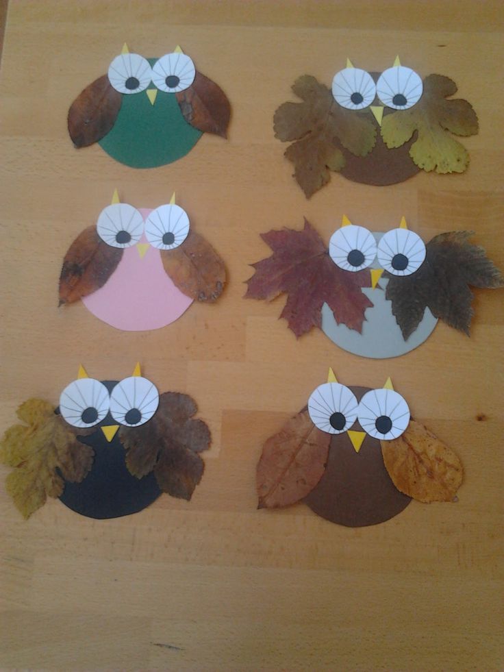 IPCurriculum's tweet image. #Preschool #leaf #owl #craft! IPC: bit.ly/ipcforyou. Via: bit.ly/1Nq9wnE. #teach #birds #nature #fun
