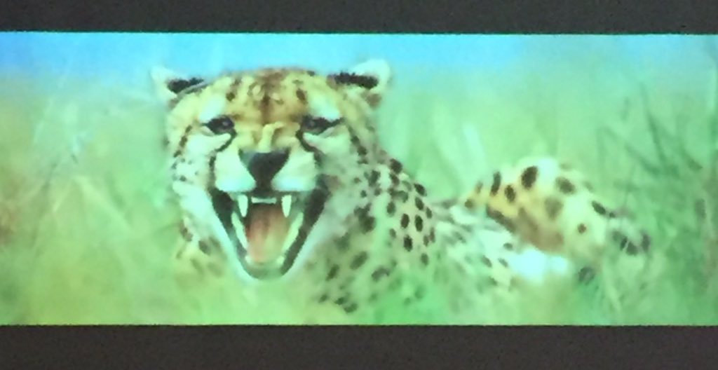 StAnnsComm's tweet photo. Going on right now at Cherry Ridge the legendary Kodak photographer #NeilMontanus #Roc https://t.co/ufna62RCRz