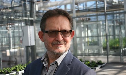PlantForm Corp. (@plantformcorp) on Twitter photo Our butyrylcholinesterase R&D is rolling w/ <a href="/RyersonU/">Ryerson University</a>'s Warren Wakarchuk at PlantForm today ow.ly/TWILS Our butyrylcholinesterase R&D is rolling w/ <a href="/RyersonU/">Ryerson University</a>'s Warren Wakarchuk at PlantForm today ow.ly/TWILS