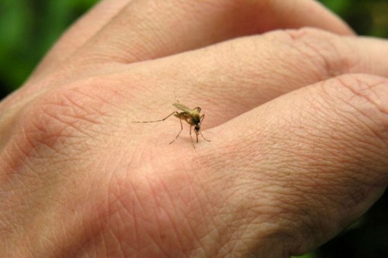 elespectador's tweet photo. En Colombia hay 129 casos de contagiados por virus del zika.
https://t.co/EGHjuJ5waw https://t.co/RMavfkQit6