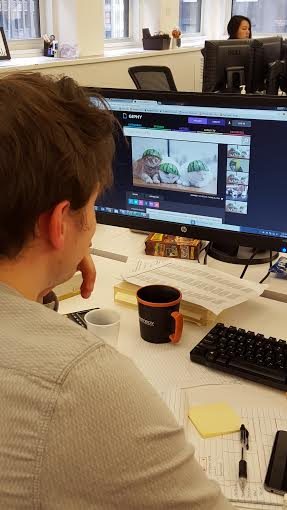 Gogo_Studios's tweet photo. EVERYONE at the #gogostudio office is celebrating #NationalCatDay even the marketing dept #shhh #gogo #hardwork #mew https://t.co/rxIlrmXblZ