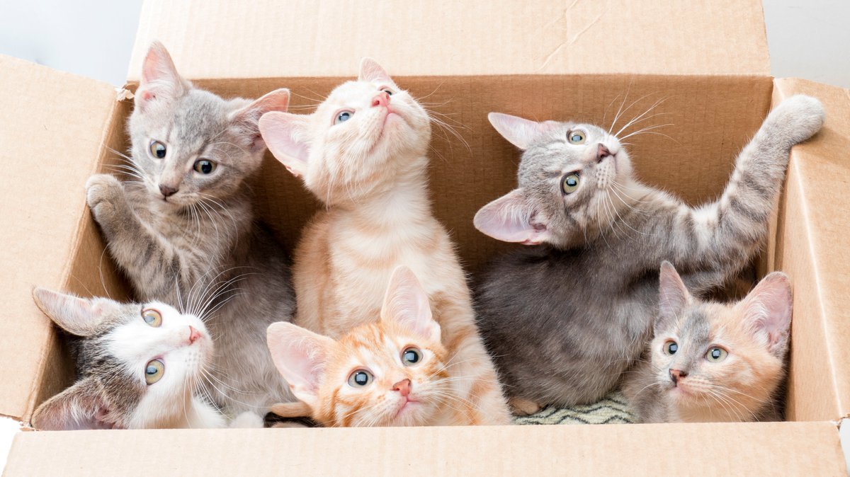 STOR-N-LOCK Self Storage tweet media