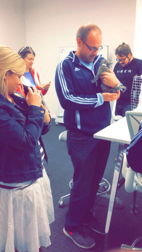samoberkrom's tweet photo. #UberKITTENS best way to cheer up your workplace on a Thursday! 😻😻😻 https://t.co/kSE9nI0ODc