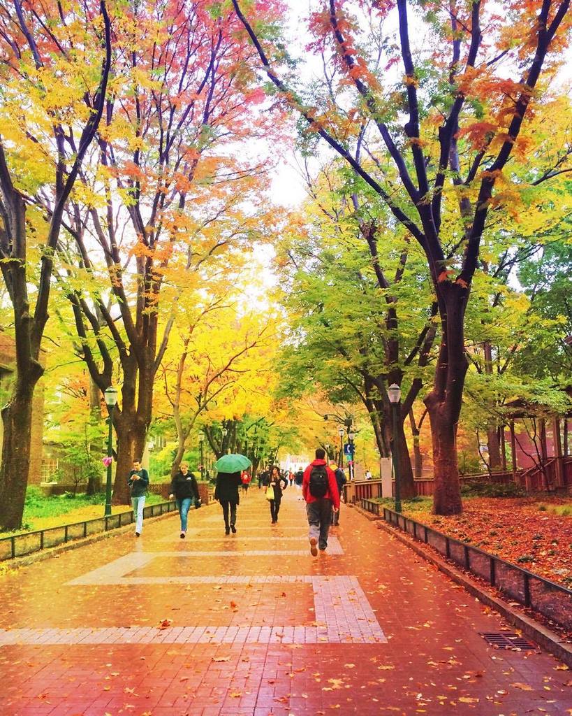 Rainbows of autumn on Locust Walk. #Penn #leaves #fall ift.tt/1KIptBu