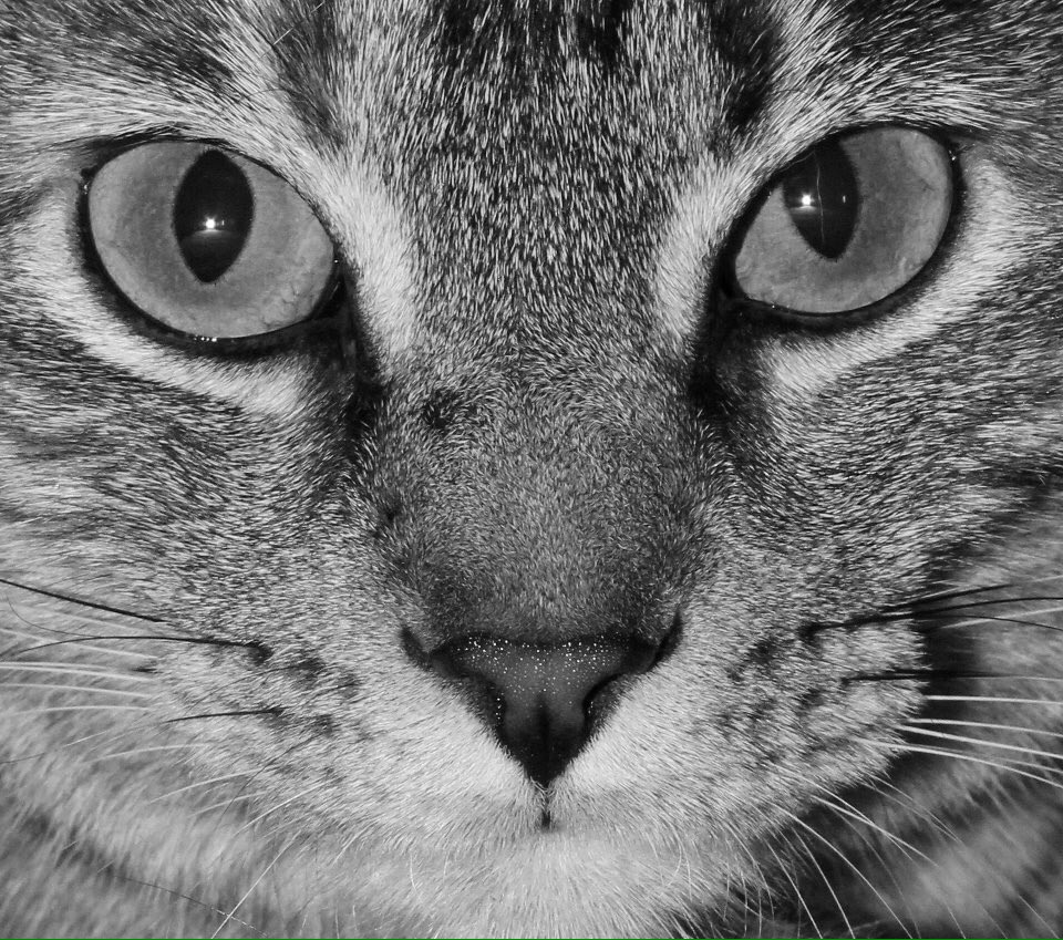 GathrightPhotography tweet media