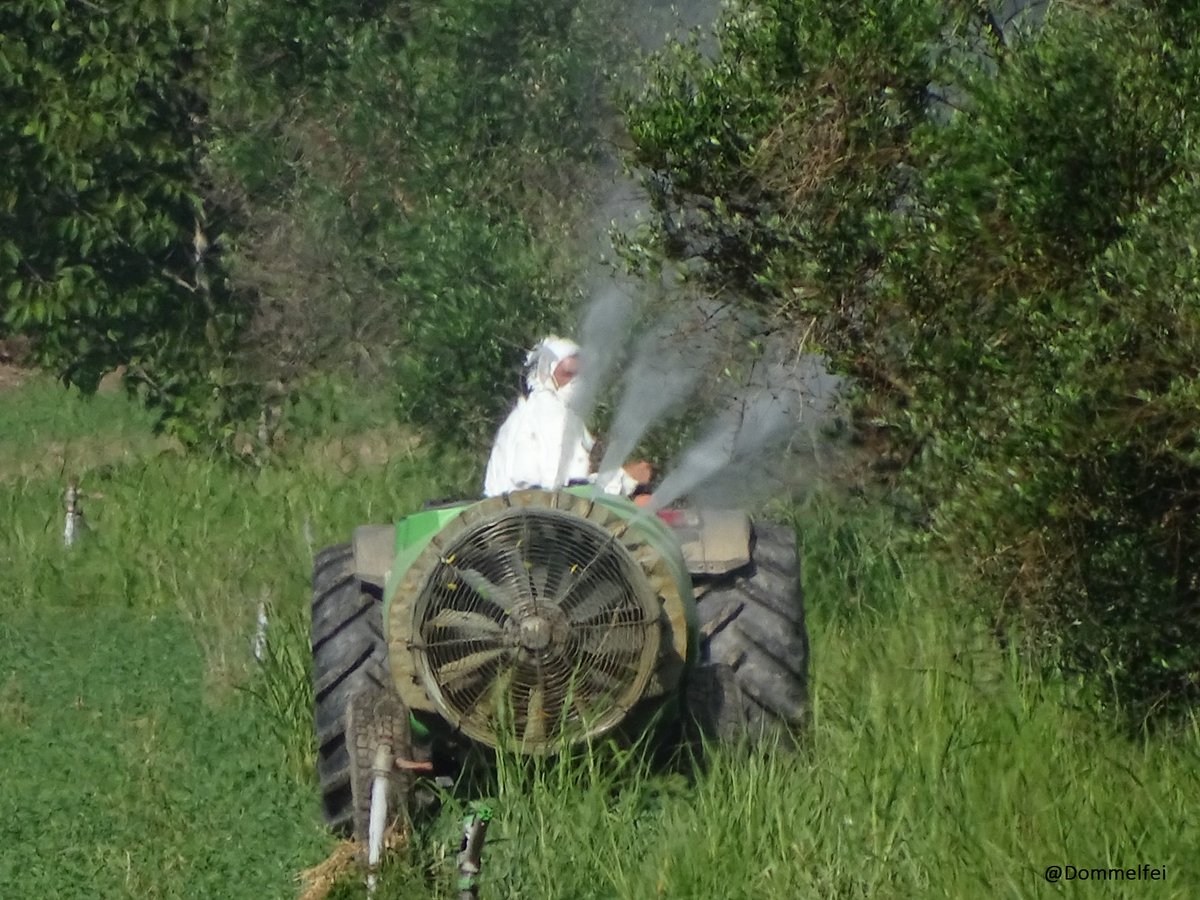 Dommelfei's tweet photo. #TT My farmer neighbour in June. Since then my butterfly garden is dead. #StopMonsanto #Roundupkills #Danadim https://t.co/NvZVn907nX