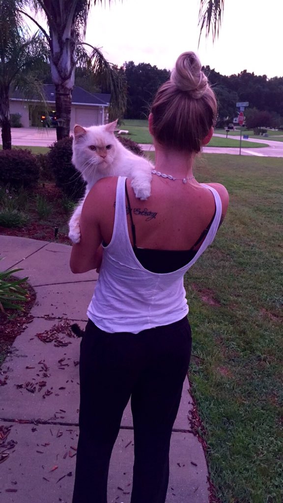 arieloglesby6's tweet photo. Happy national cat day to my favorite thing on this earth ๐ป #GucciTheCat https://t.co/snrFBn05kz