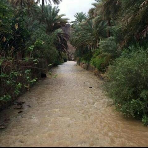 m_5b_m's tweet photo. #عطنا_صورة_من_تصويرك
-سمائل https://t.co/JVsDiDmxgq