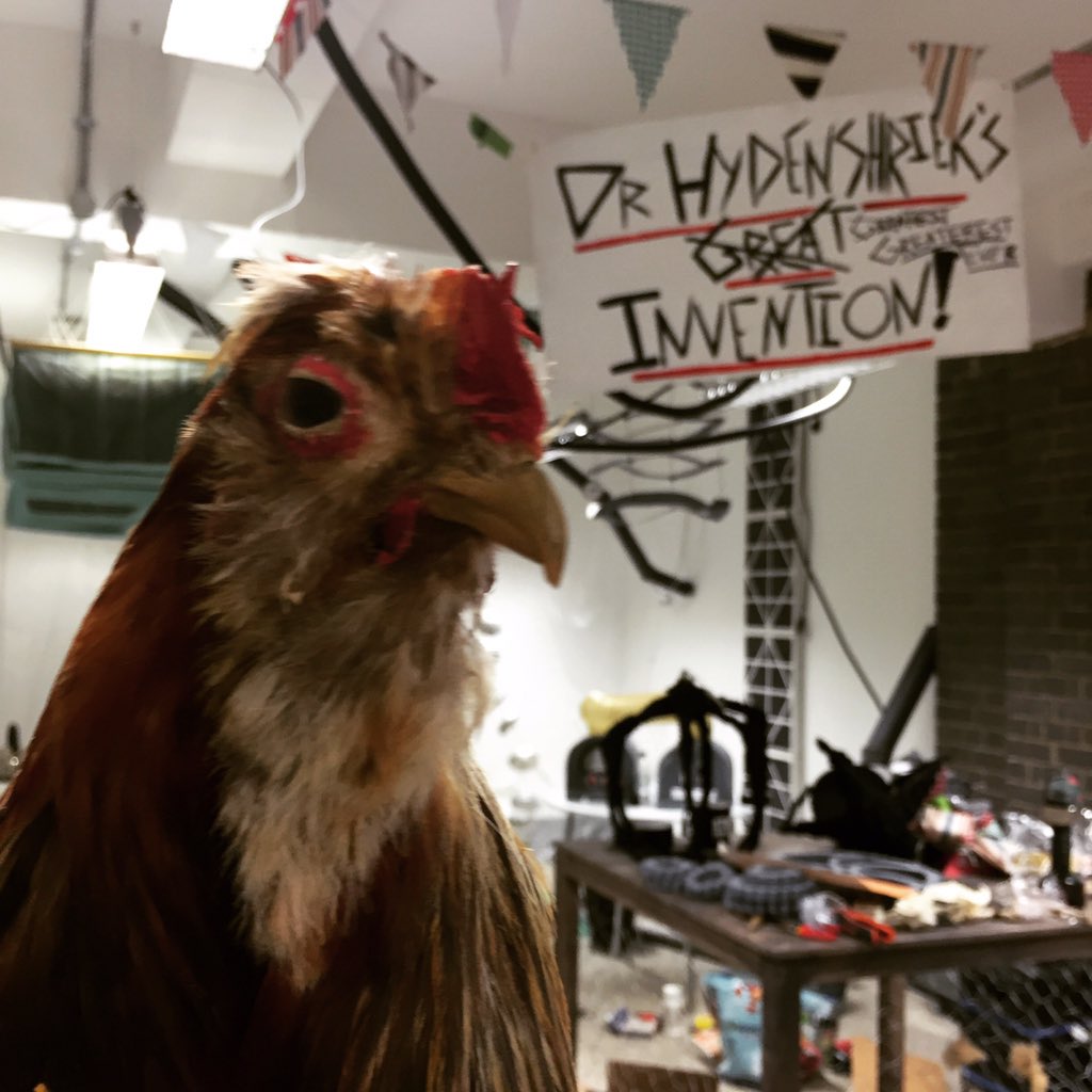 Steve has let the chicken loose again. #drhydenshriek