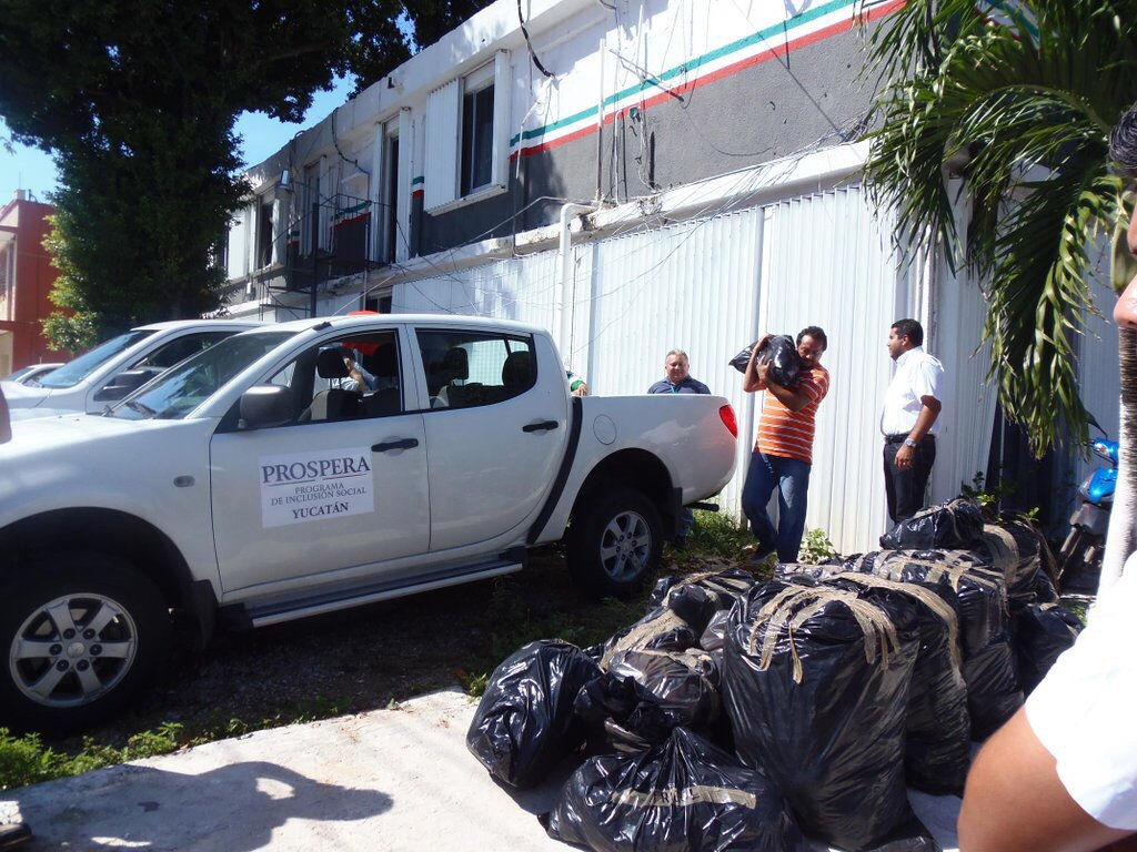JL_NoveloA's tweet photo. Gracias Equipo #PROSPERA #Yucatan por el acopio de víveres para nuestros hermanos de la @DE_ProsperaQRoo @manyangulo https://t.co/FoZD5Tug8z
