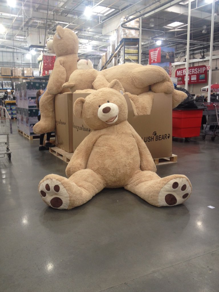 8 ft teddy bear