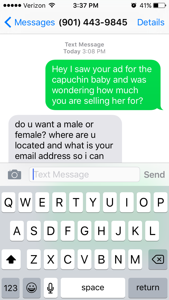 Danielle_Grz's tweet photo. Literally talking to someone about buying a monkey. https://t.co/3Bz5HEU39F