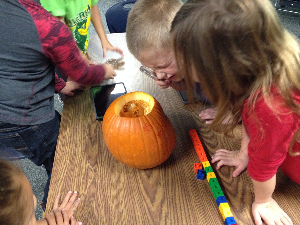 mindyeckert's tweet photo. Pumpkin investigations! https://t.co/DMDHVuhVSP