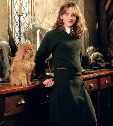 クルックシャンクス ハリーポッター 猫の種類など