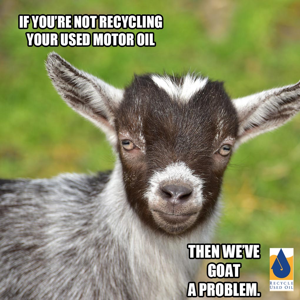 codwater's tweet image. Oil poured down drains or put in the garbage can cause serious pollution. No kidding.
cityofdavis.org/city-hall/publ…