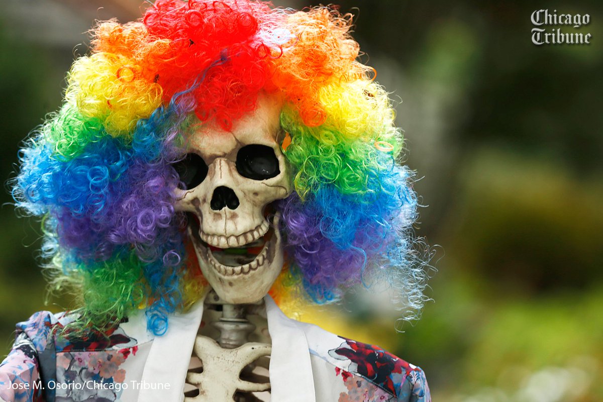 ChiTribPhoto's tweet photo. Halloween decorations on the 5300 block of North Lakewood Avenue in Chicago #Halloween #skeleton #rainbowafro https://t.co/V1fI3CLuAf
