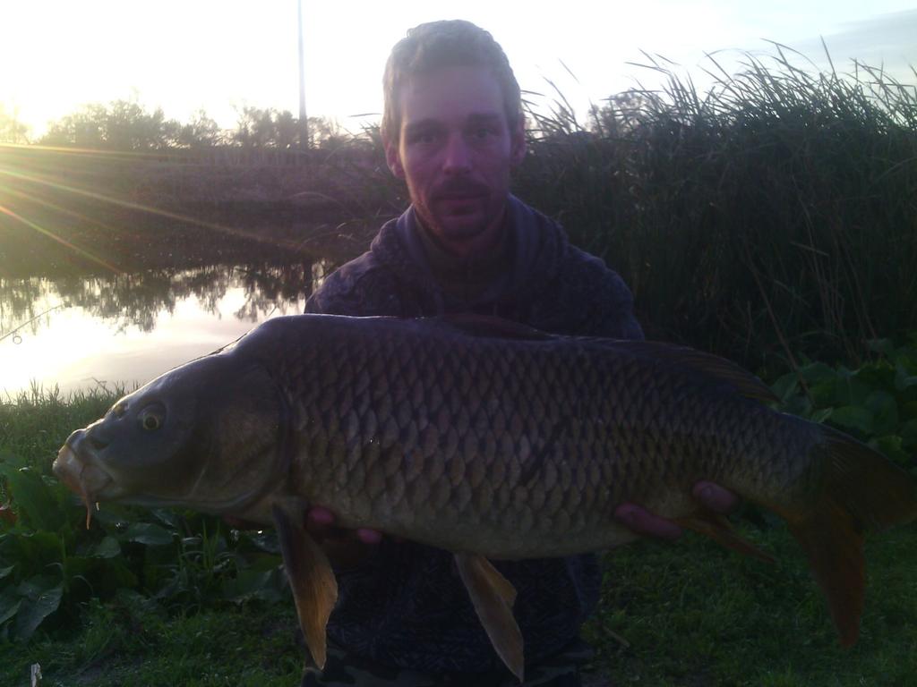 el tripode (@rafa_chery) on Twitter photo 