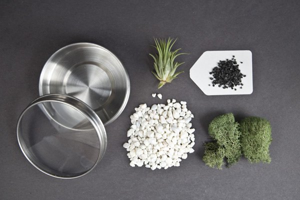 TheSnugOnline's tweet photo. Everything you need to make these #miniplanters https://t.co/k0EUOT2PTh https://t.co/EypZKsUstB